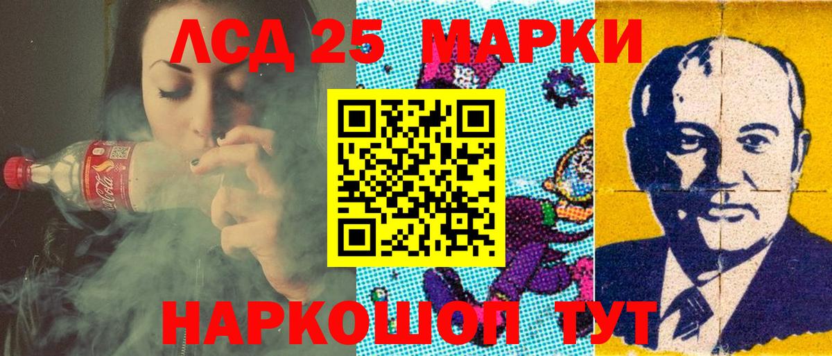 A PVP Бийск